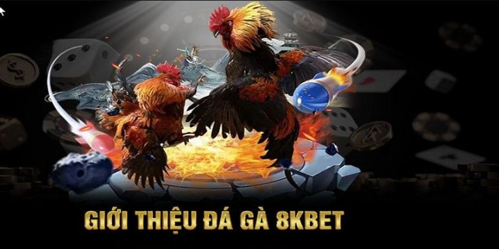 Cựa sắt là hình thức được nhiều tín đồ lựa chọn tham gia